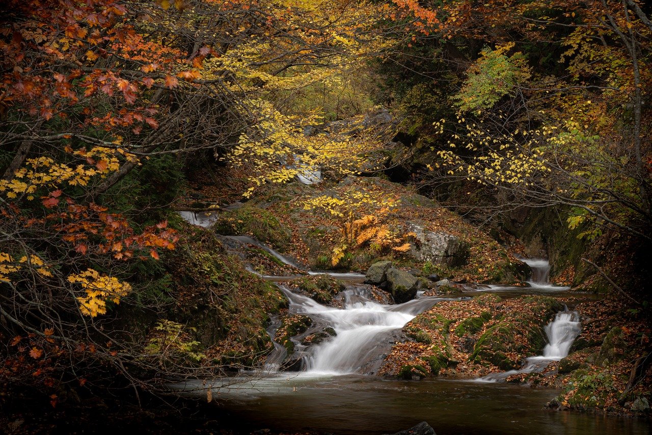 Paint a Perfect Day: Mastering Light in Landscape Art